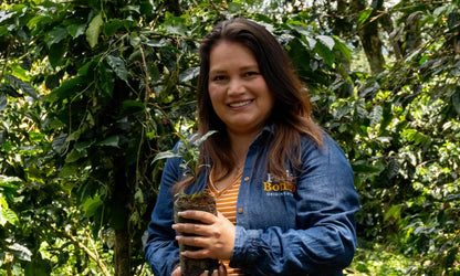 Paola Trujillo Pink Bourbon Coffee