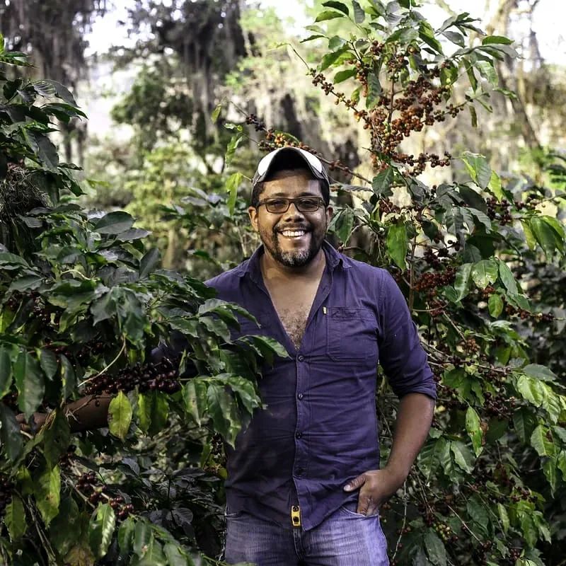 NEW! - José Gómez Catisic Coffee - Honey Process