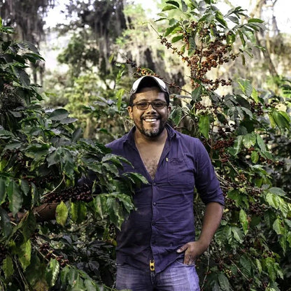 NEW! - José Gómez Catisic Coffee - Honey Process